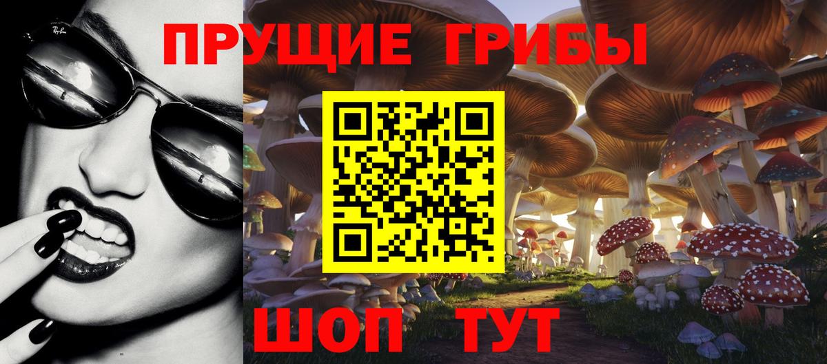 Галлюциногенные грибы Magic Shrooms Всеволожск